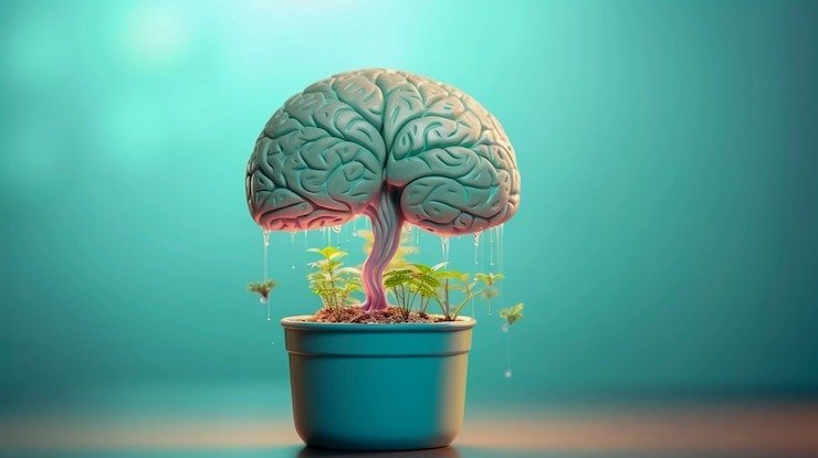 Top Innovations: Turning Dreams into Achievements